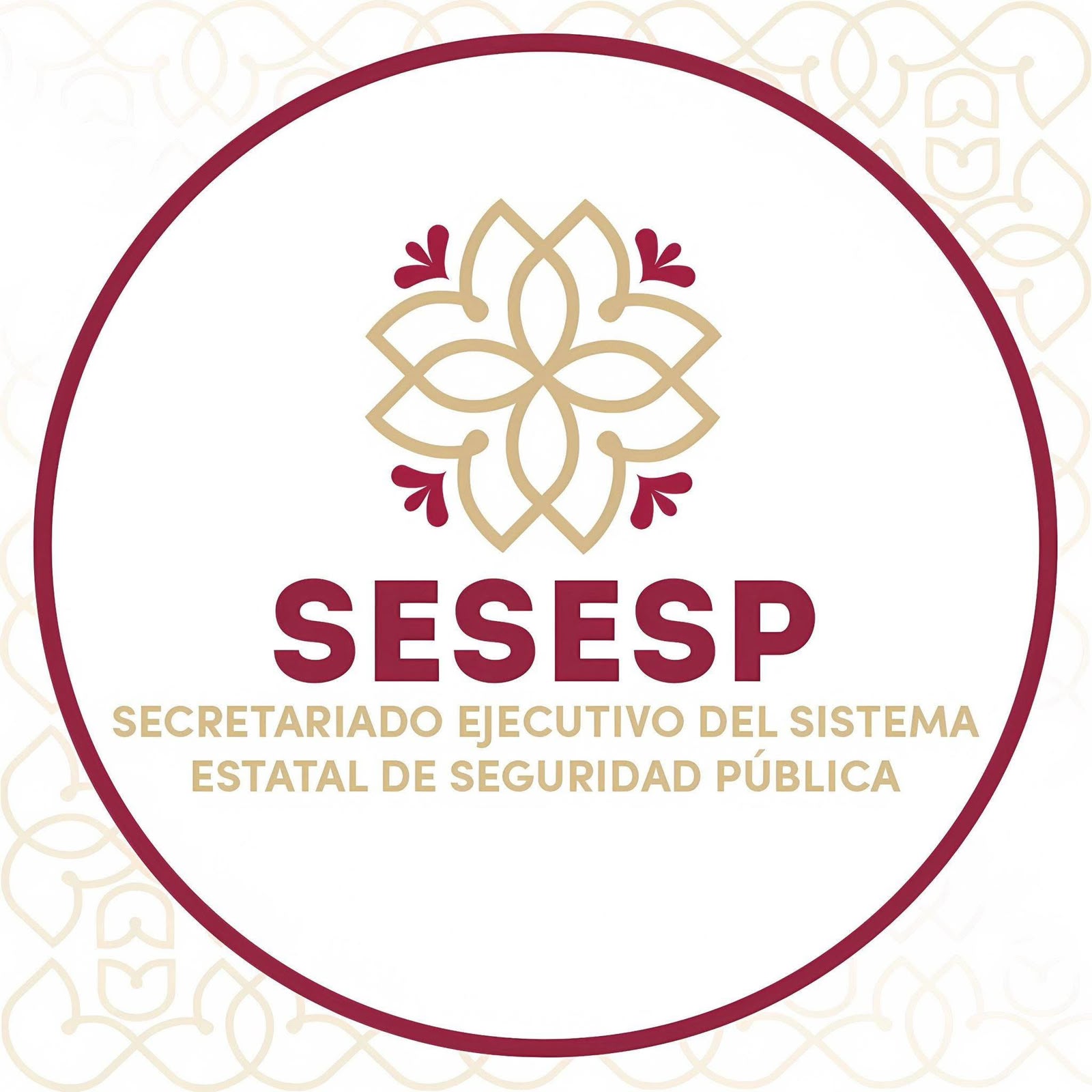 SESESP reporta intento de vandalismo informático en su página oficial